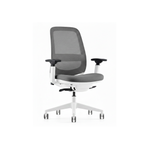 Platinum | Ergonomic Task Chair